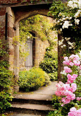 Teun S Tuinposters De Mooiste Foto S Op Tuinposter Of Tuindoek