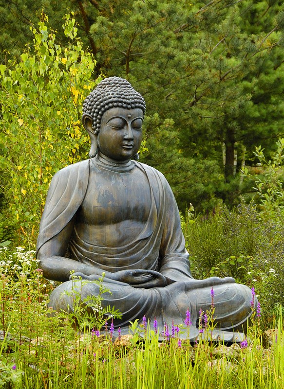 Boom bezoeker automaat Tuinposter 'Boeddha beeld in lotushouding' - Teun's Tuinposters