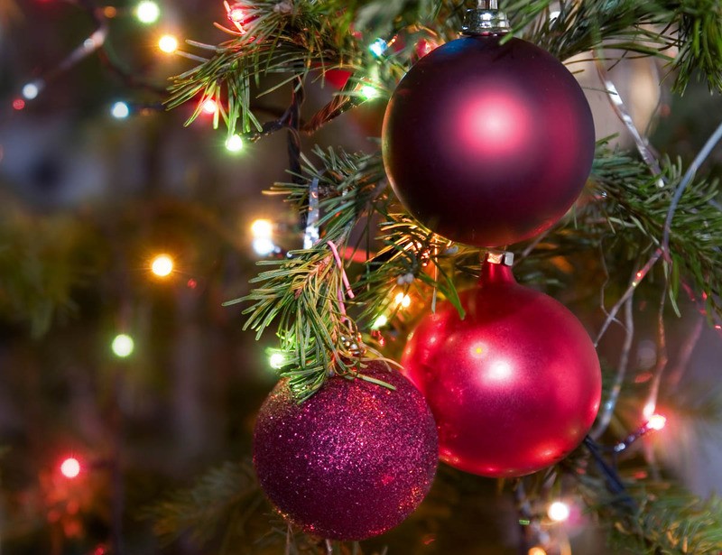 extract Het pad brandwond Tuinposter 'kerstballen met lichtjes' - Teun's Tuinposters