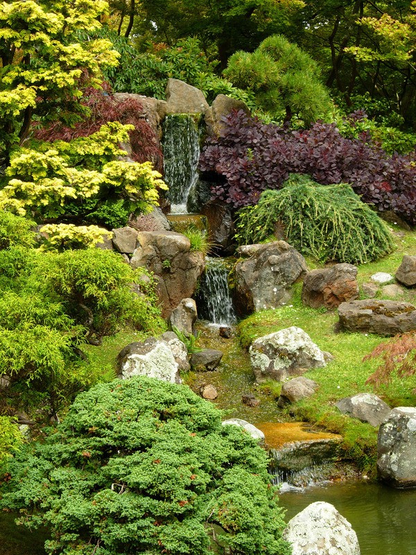 Uitstekend Onbevredigend Voorlopige naam Tuinposter 'Waterval omgeven door weelderige begroeiing in een Japanse tuin'  - Teun's Tuinposters