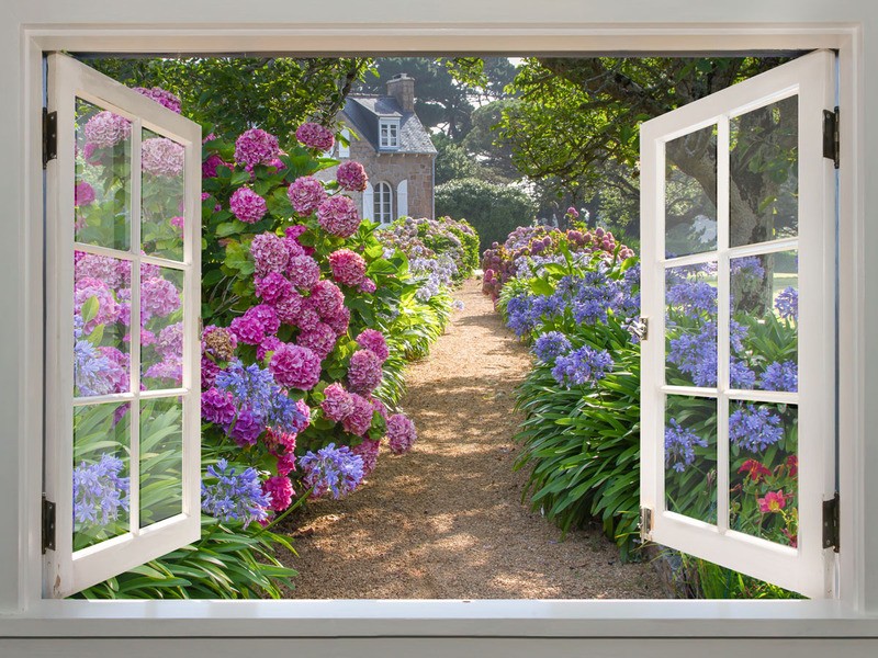 Tuinposter 'Raamkozijn met hortensia's'